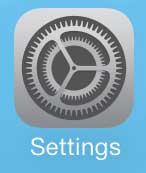 ios 7 settings icon