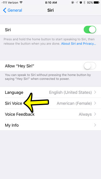 select the siri voice option