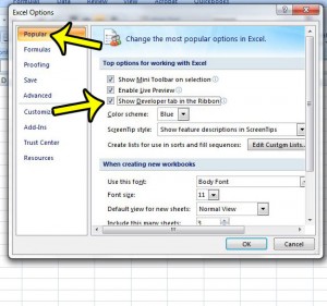 how to open developer tab excel 2007