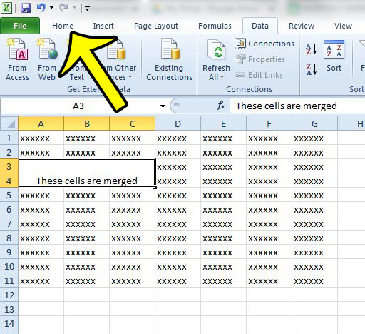 click the home tab in excel 2010