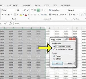 how to copy as a picture in excel 2013