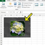 how to crop a picture in excel 2013