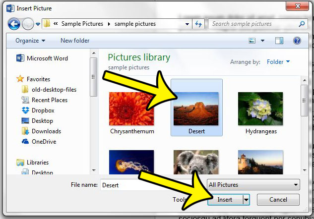 how to add a picture in word 2013