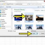 how to insert a picture into a cell in excel 2010