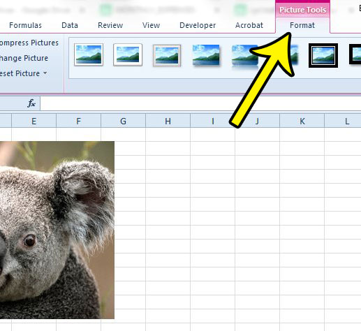 inserting an image in excel 2010