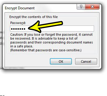 how to use a password in excel 2013