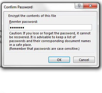 can i set a password for an excel file