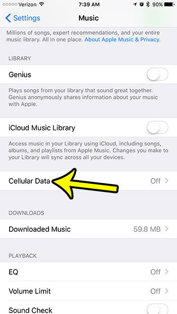 iphone music cellular data menu