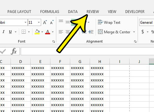 click the excel 2013 review tab