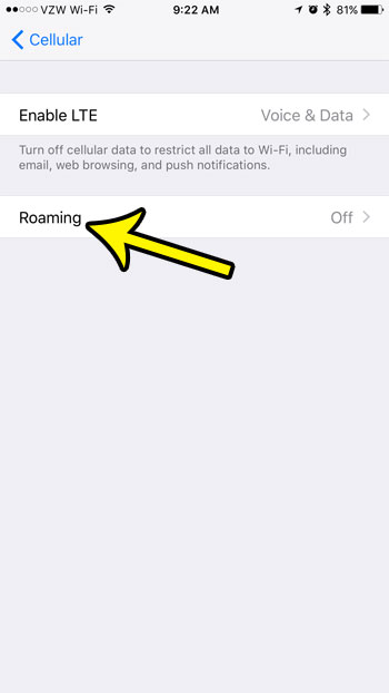 turn on roaming on an iphone