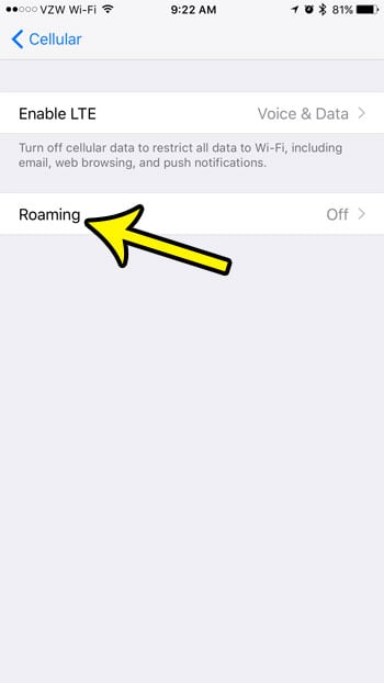 How to Turn On Data Roaming   iPhone 7 - 45