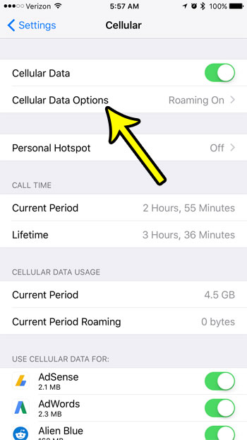 select the cellular data options button