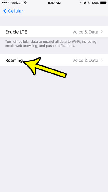 open the roaming menu on the iphone 7