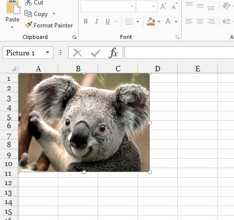 excel picture link