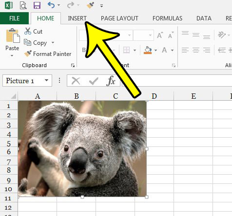 make a picture clickable in excel 2013