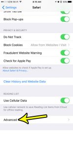 how to disable javascript in tor iphone