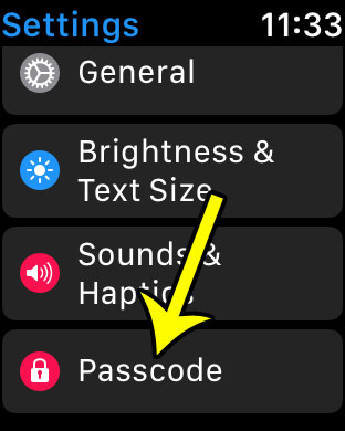 apple watch passcode menu