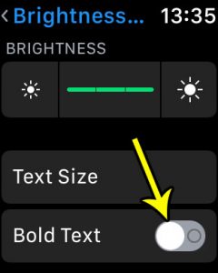 how to enable bold text on apple watch