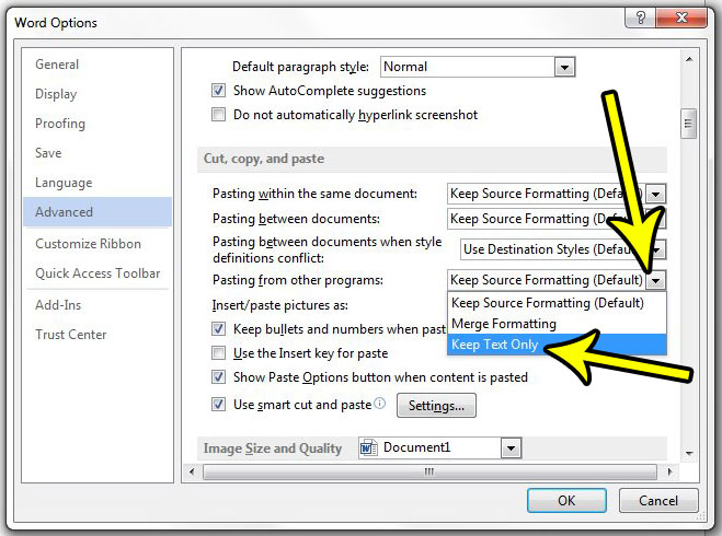 how to remove formatting when pasting in word 2013