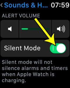 how to put the apple watch in silent mode
