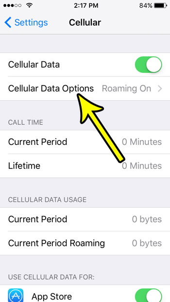 iphone se make sure no data roaming charges