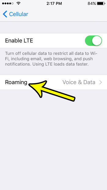 iphone se turn off data roaming
