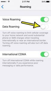 how to turn off cellular data roaming on an iphone se