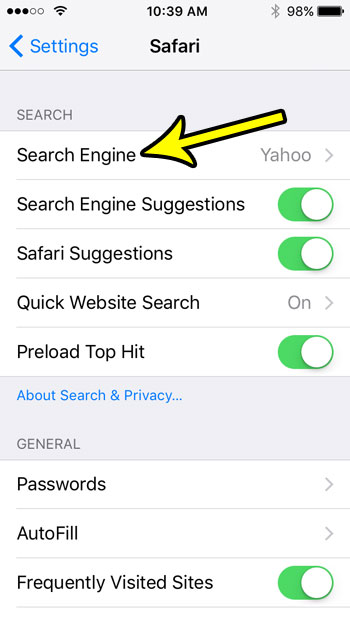 iphone se default search engine