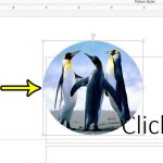 how to crop a picture to a circle in powerpoint 2013