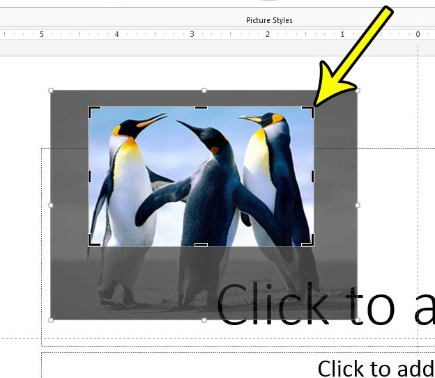 how to crop a picture in powerpoint 2013