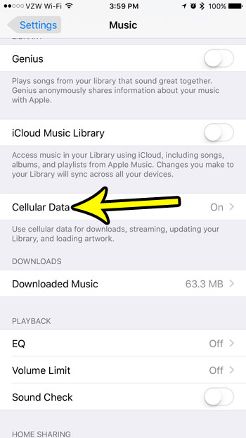 iphone music cellular data options