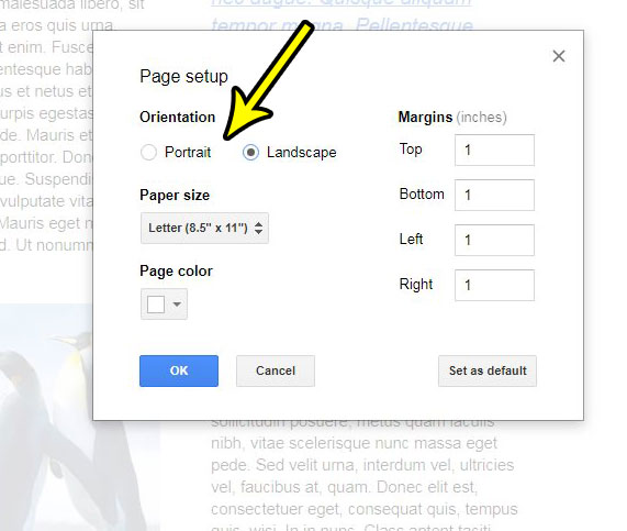 how to change page orientation in google docs