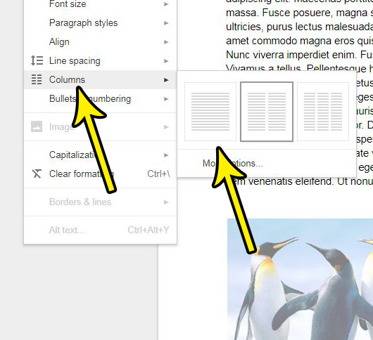 how to reduce columns in google docs