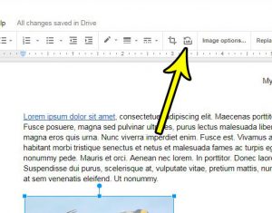 how to reset a picture in google docs