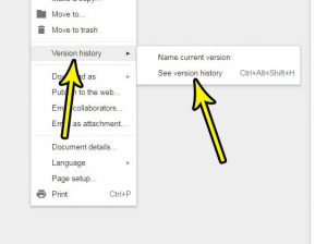 how to view version history in google docs