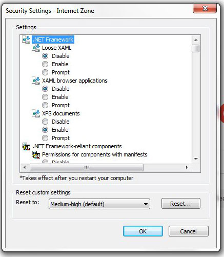 custom security settings in internet explorer