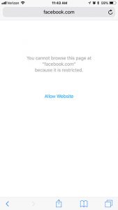 how to block a website on an iPhone