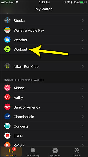 open the apple watch workout app