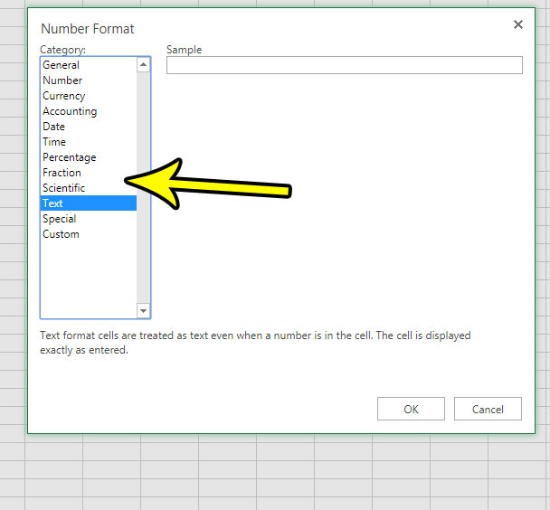 How to Change the Format of a Cell in Excel Online - 95