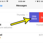 what does hide alerts mean text message iphone