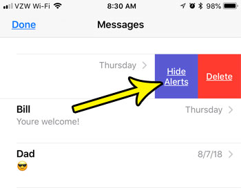 what does hide alerts mean text message iphone
