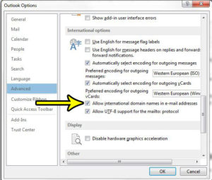 how to allow international domain names in outlook 2013