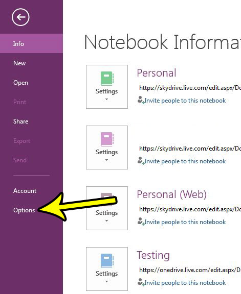 onenote 2013 page tabs on left side of window