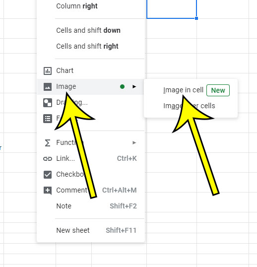how to insert a picture into a cell in Google Sheets