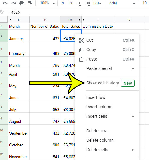 how to view cell history in google sheets