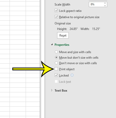 how to stop a picture from printing in Microsoft Excel