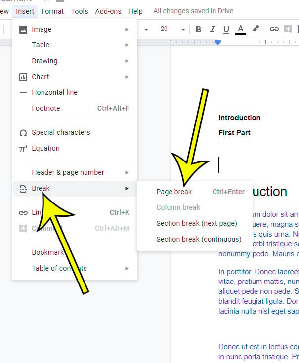 How to Add a Page on Google Docs - Live2Tech