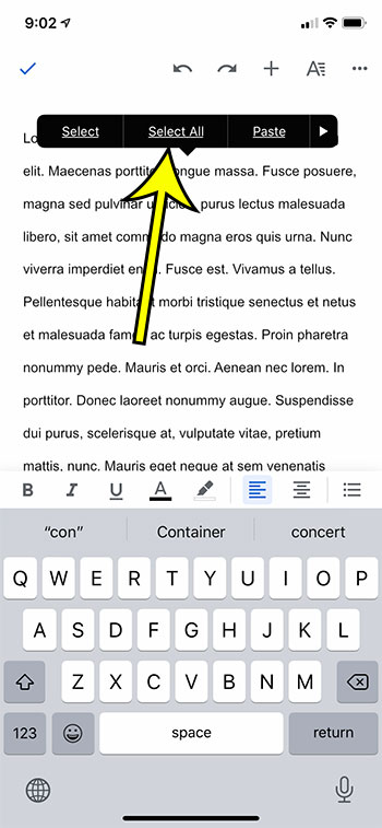 how to select all in Google Docs on an iPhone