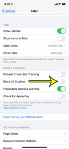 how to enable cookies in Safari on an iPhone 11