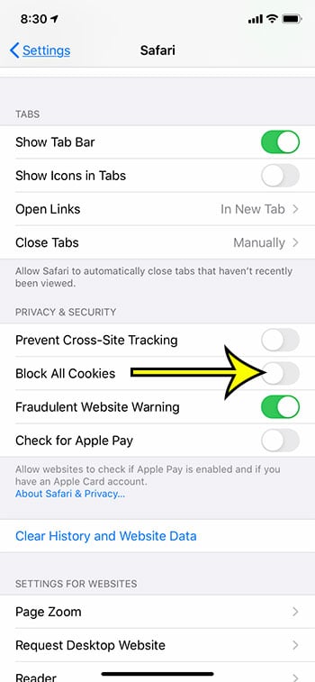 How to Enable Cookies on iPhone 11 - 66